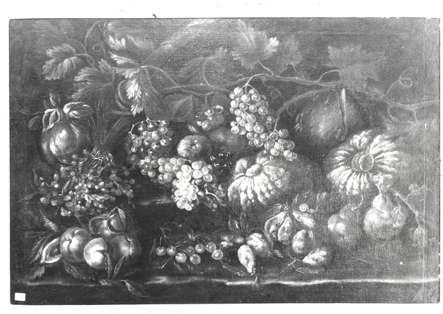 Zardini — Autore non indicato - sec. XVII - Natura morta con frutta — insieme
